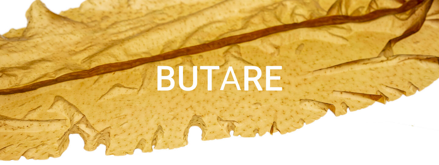 Butareblad